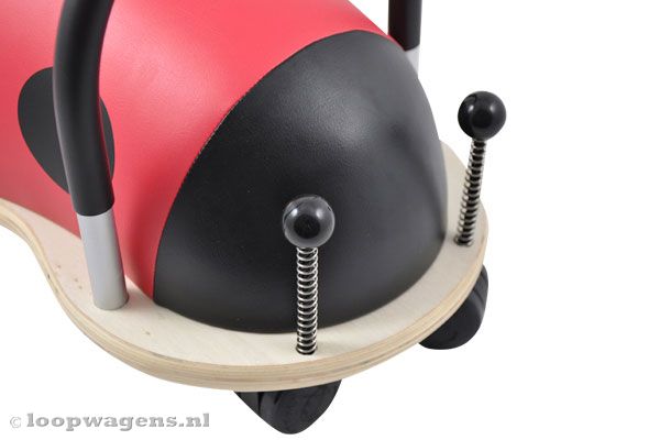 Speelse voelsprieten aan de voorzijde.