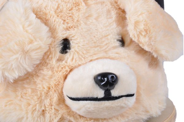 De hond heeft een lekkere zachte snoet.